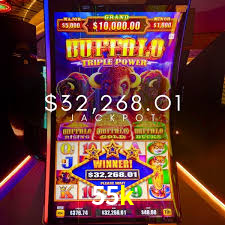 Basketball Betting 55k